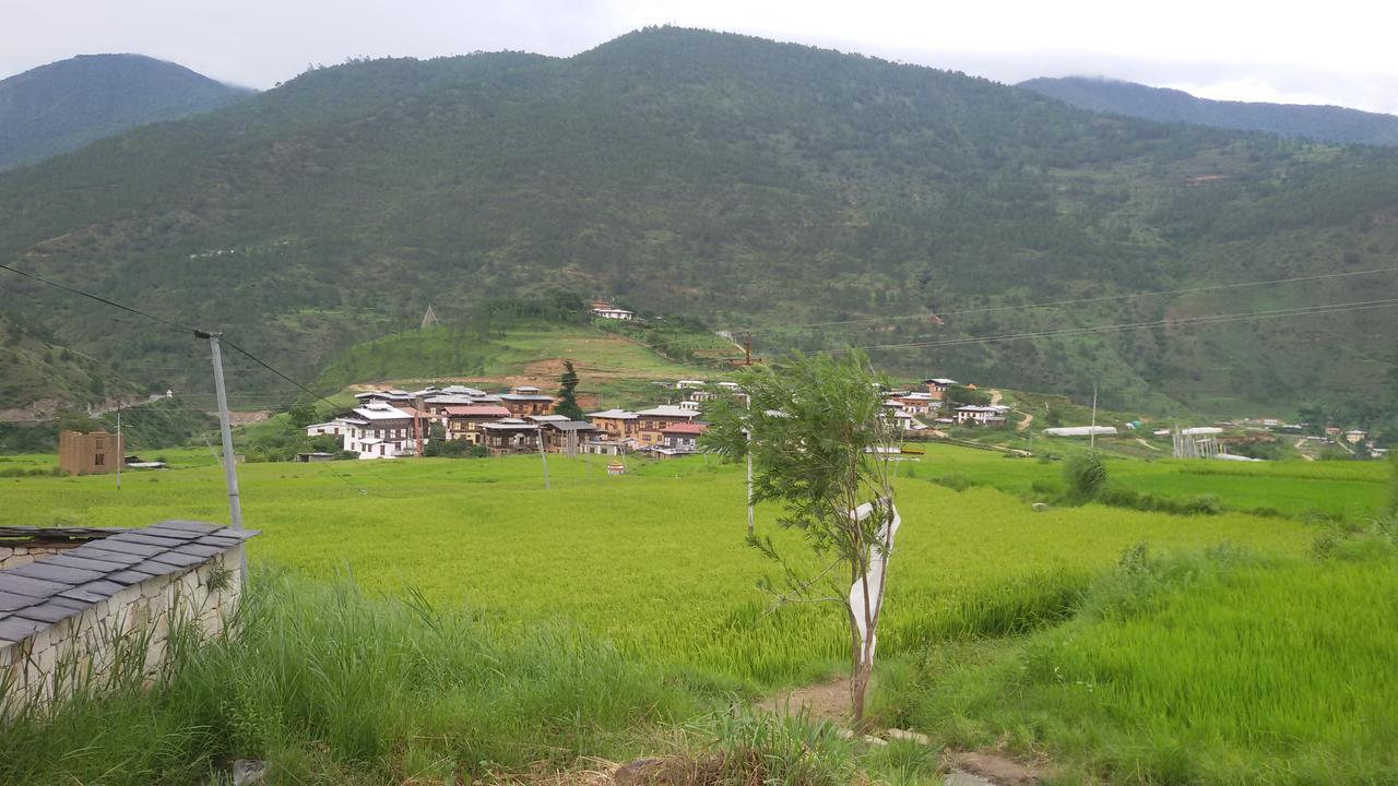 بونخا Chimi Lhakhang Village Homestay المظهر الخارجي الصورة